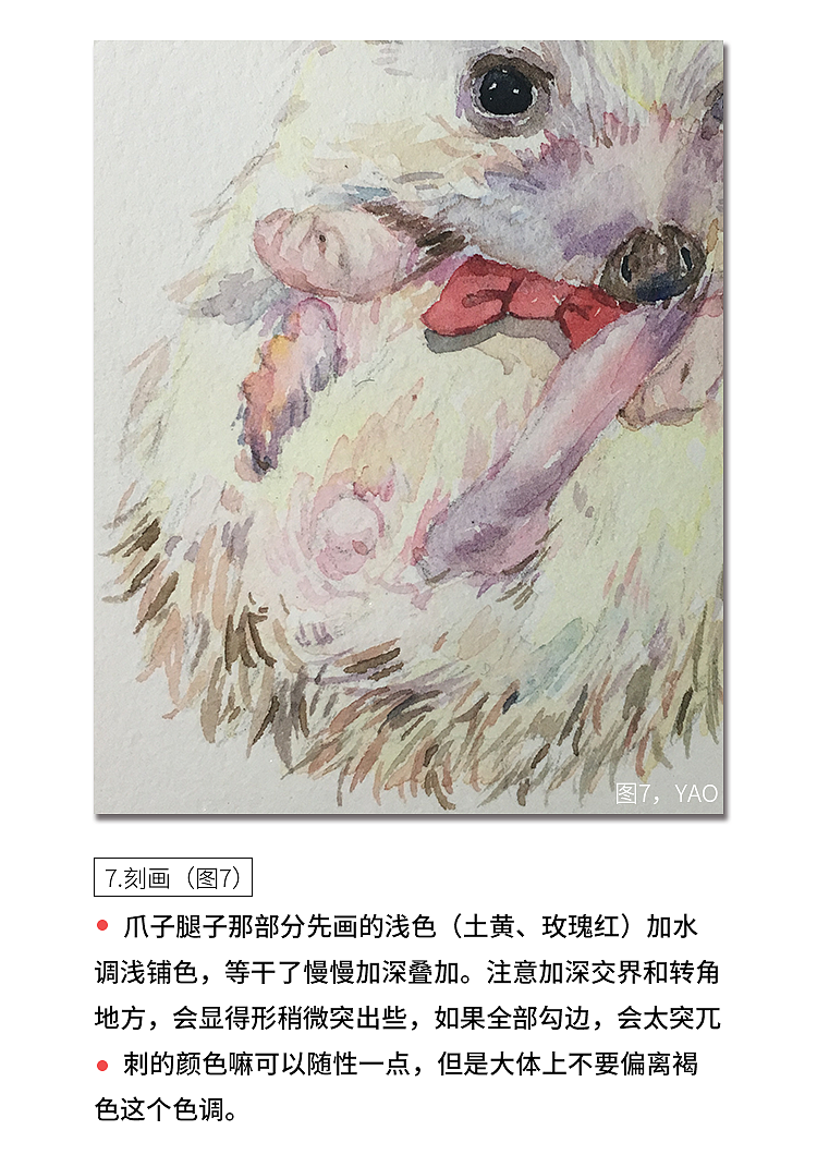 #1.小刺猬过程分享