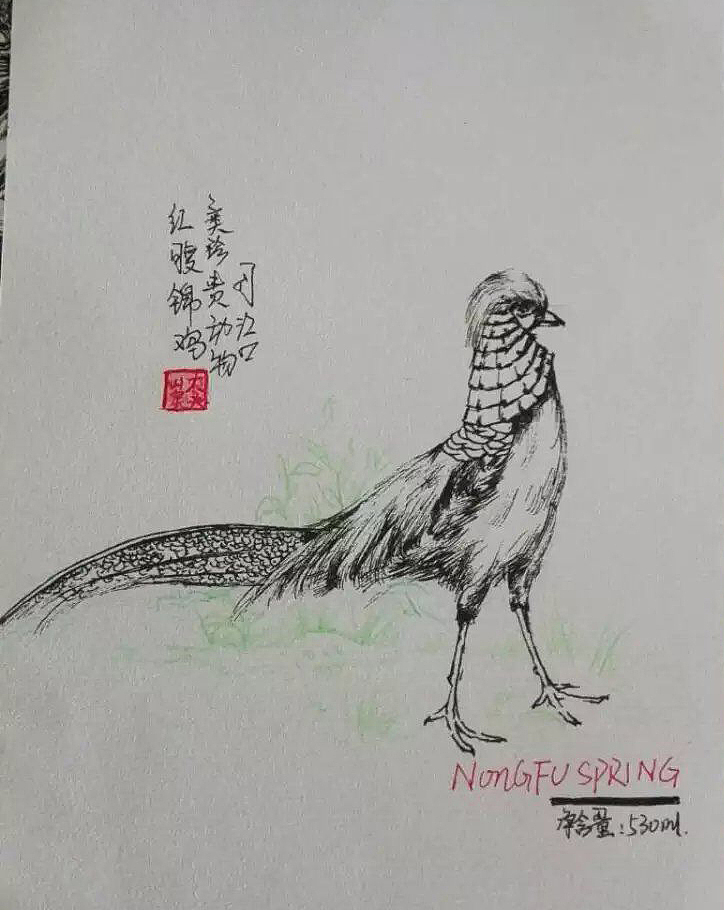 学校包装设计作业（图ZMTI1ODM2MzI4） - 宣传物料 - 站酷设计师xiu吱吱原创素材 - 站酷ZCOOL