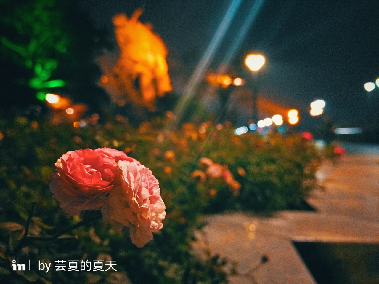 叶子（图ZODc4MDg2NjA=） - 环境/建筑摄影 - 站酷设计师芸夏的夏天原创素材 - 站酷ZCOOL