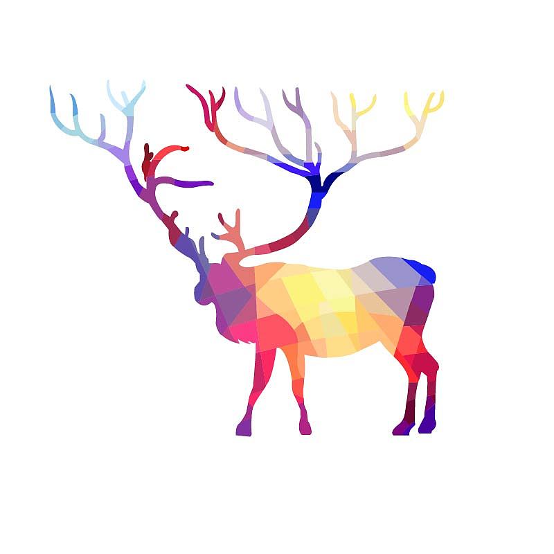 动物插画（图ZODcwMzc2MjA=） - 艺术插画 - 站酷设计师苏苏君原创素材 - 站酷ZCOOL