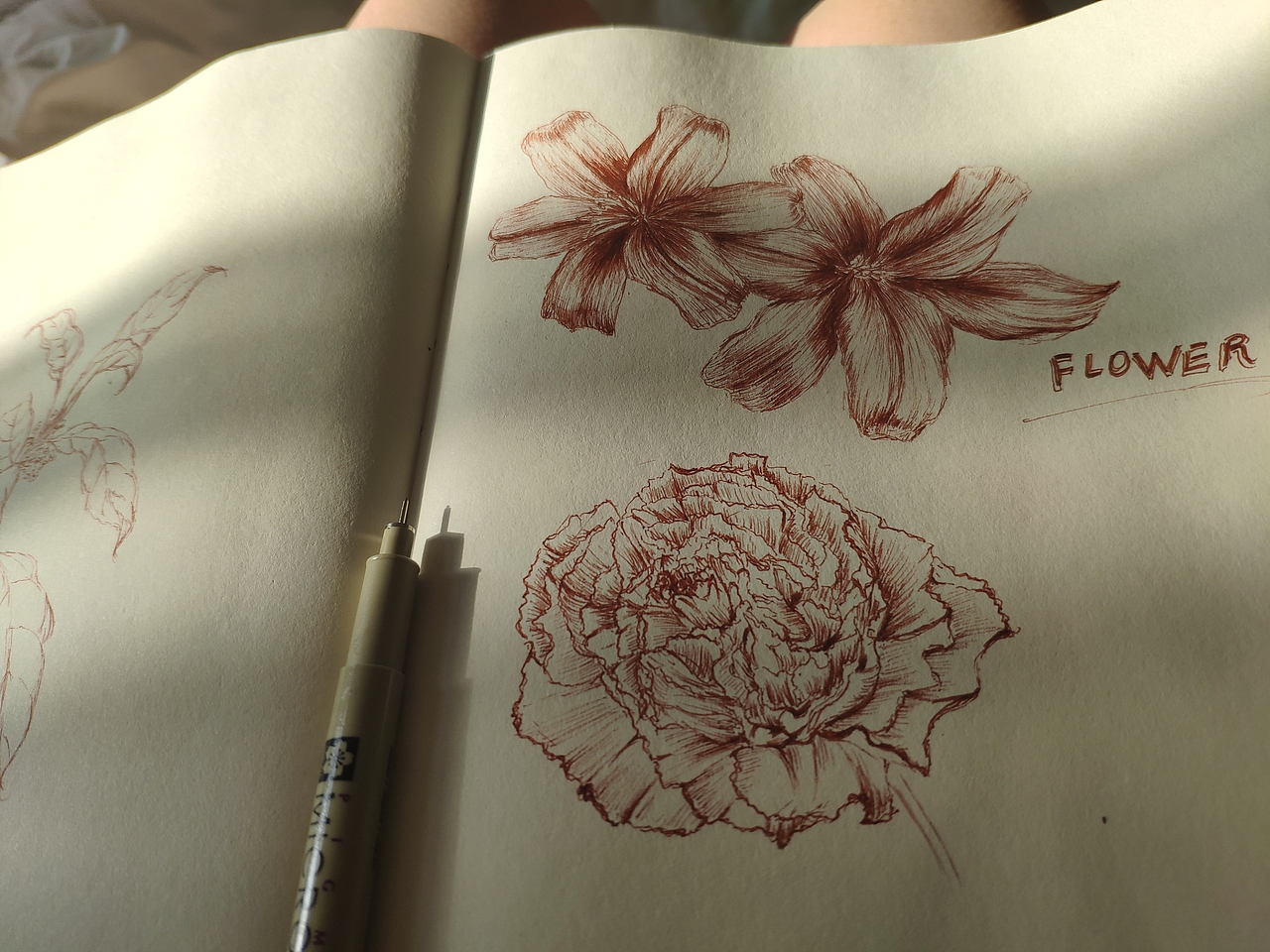 线描出来的花卉（图ZMjI3NTk0MTAw） - 绘画 - 站酷设计师Z78699285原创素材 - 站酷ZCOOL