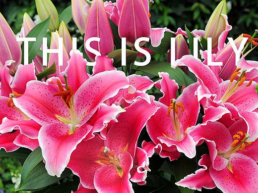 百合展售票海报（个人主页-ZMzE1MjMwOTI=） - 海报 - 站酷设计师fan1120原创素材 - 站酷ZCOOL