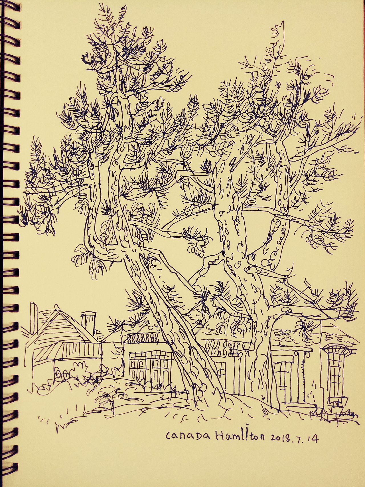 加拿大安大略省汉米尔顿街景速写