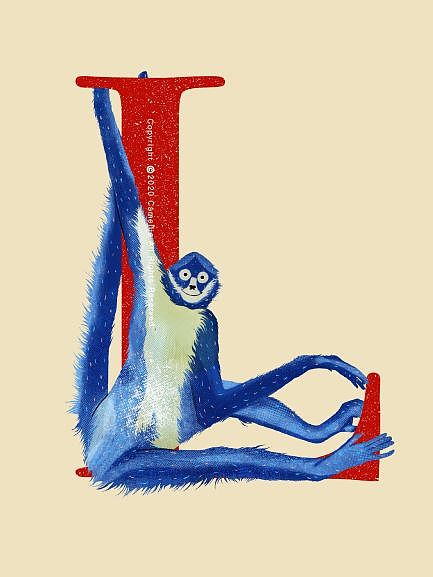 26个字母与动物的创意组合插画（图ZMjE0NjUxNDcy） - 创作习作 - 站酷设计师山之茶花Camellia原创素材 - 站酷ZCOOL