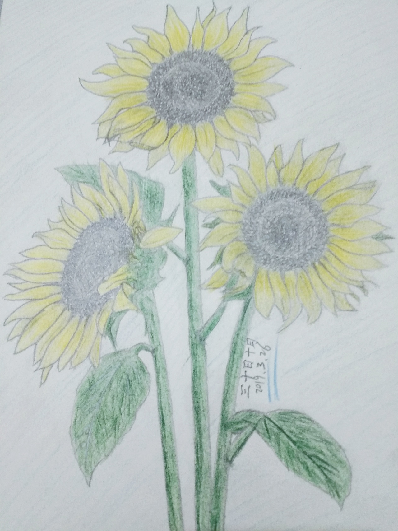 彩铅（图ZMTYyMzYzOTU2） - 艺术插画 - 站酷设计师三十日十月原创素材 - 站酷ZCOOL