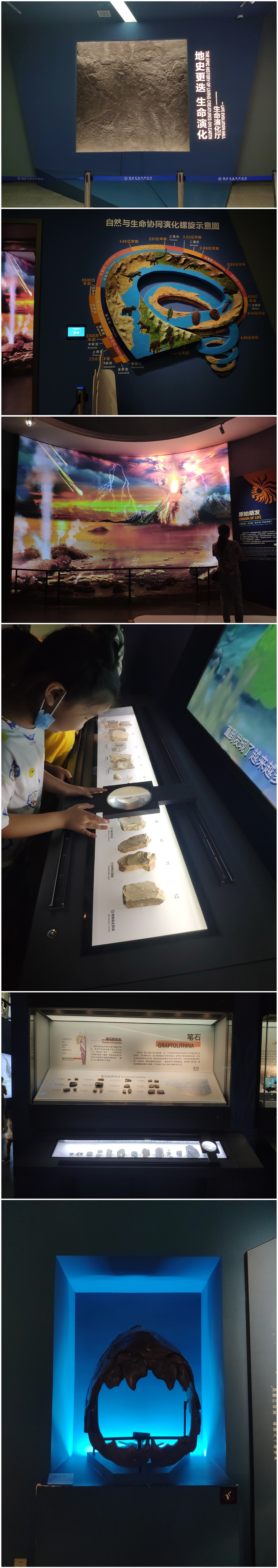 长沙-湖南省地质博物馆（图ZMjg2NzAxNjY4） - 展陈设计 - 站酷设计师大湾区五花肉原创素材 - 站酷ZCOOL
