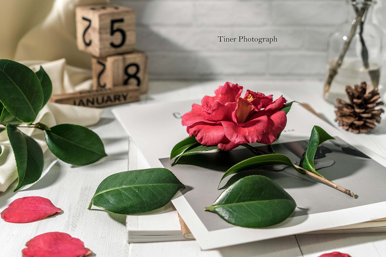 2018.1-2月静物摄影合集（图ZMTA2NjUxNDAw） - 产品摄影 - 站酷设计师Tiner宅宅原创素材 - 站酷ZCOOL