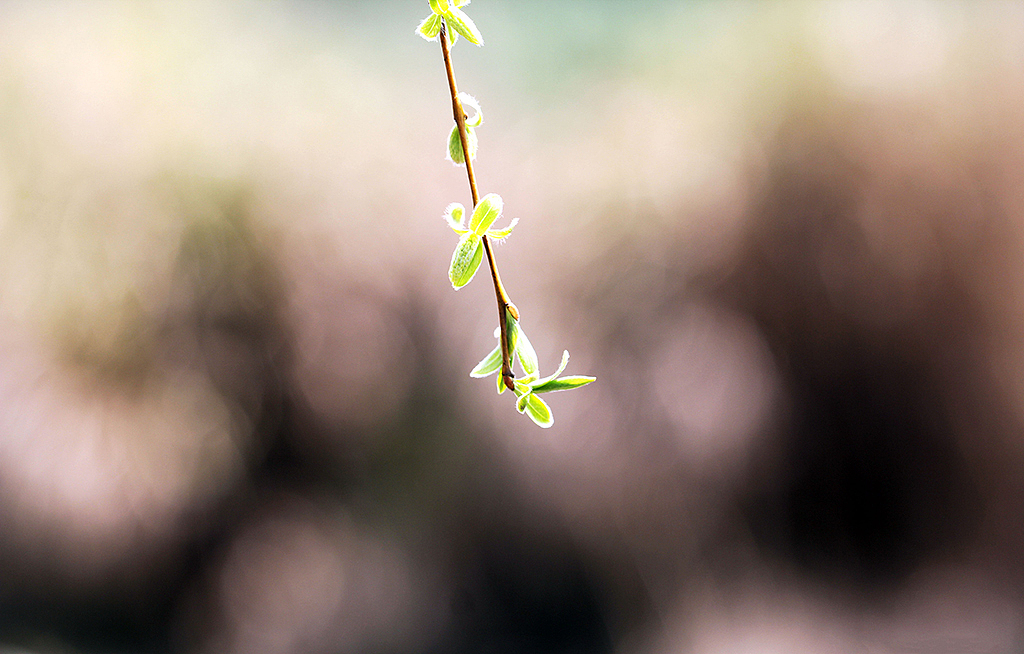 一些随意拍摄的照片，有旅途的、有生活过的城市（图ZMjMzNDc5MzI=） - 风光摄影 - 站酷设计师Chopin萧邦原创素材 - 站酷ZCOOL