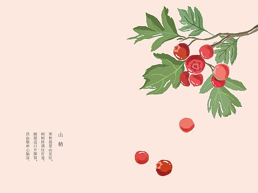 水中之花、淡雅之色、清新之美