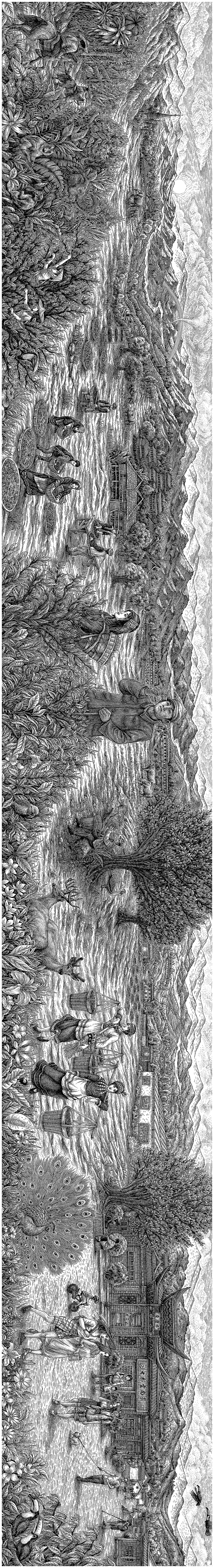 《七彩云南茶》手绘作品