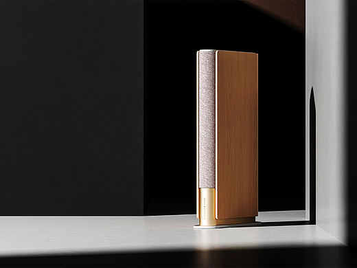 BANG&OLUFSEN 音响/耳机