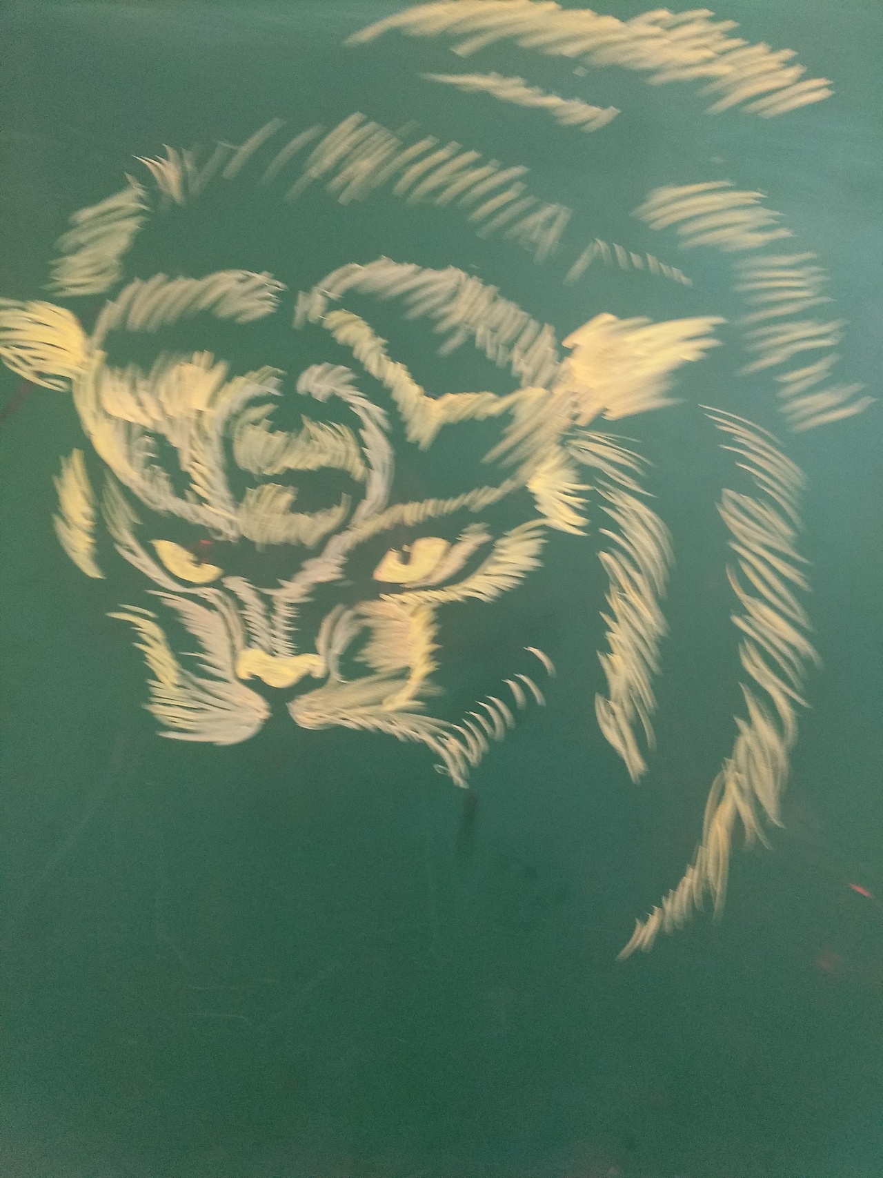 黑板画粉笔画老虎