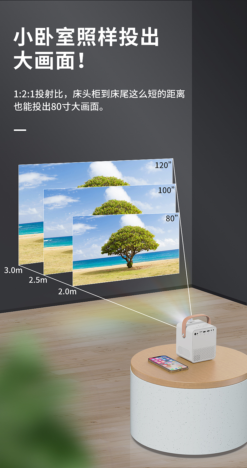 投影仪-商品详情页面