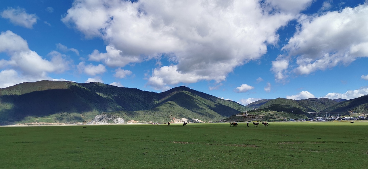 香格里拉依拉草原