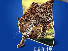 打印机豹子