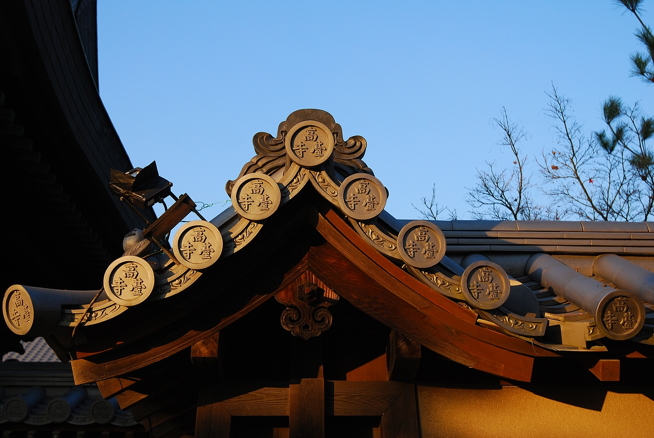 和服体验 京都 红叶 山水 树木 高台寺