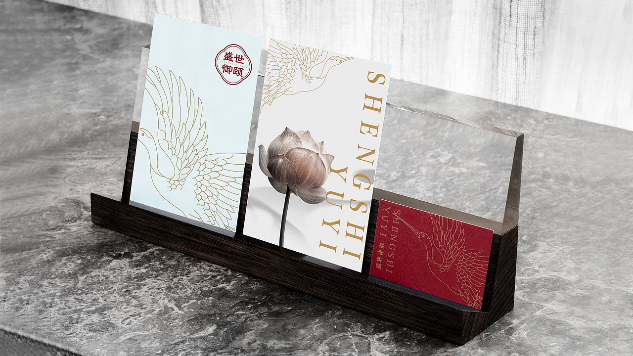 盛世御医—品牌设计