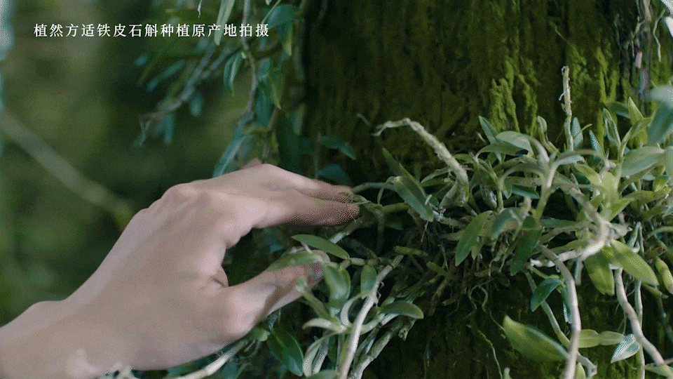 TVC視頻丨美妝 植然方適咻敏精華 產品TVC?樂趣