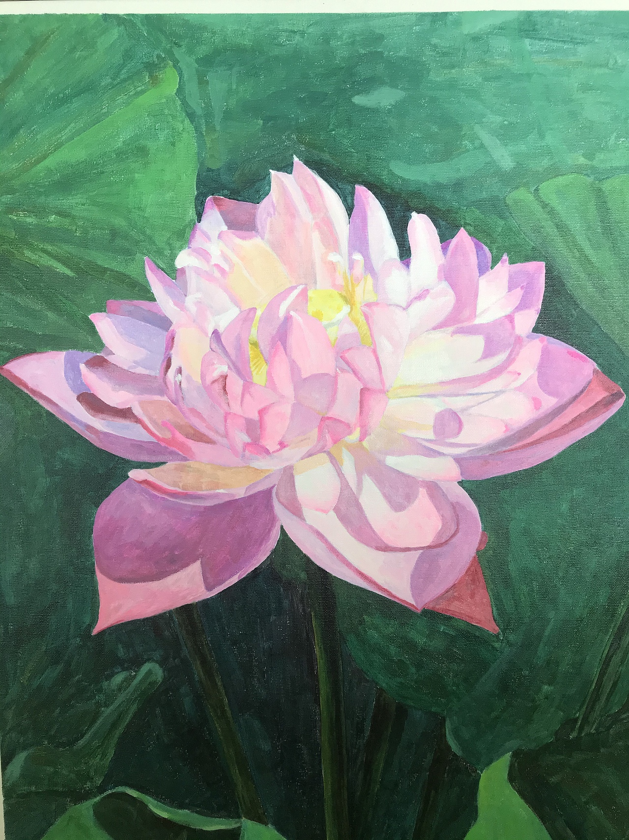 丙烯画莲花荷花