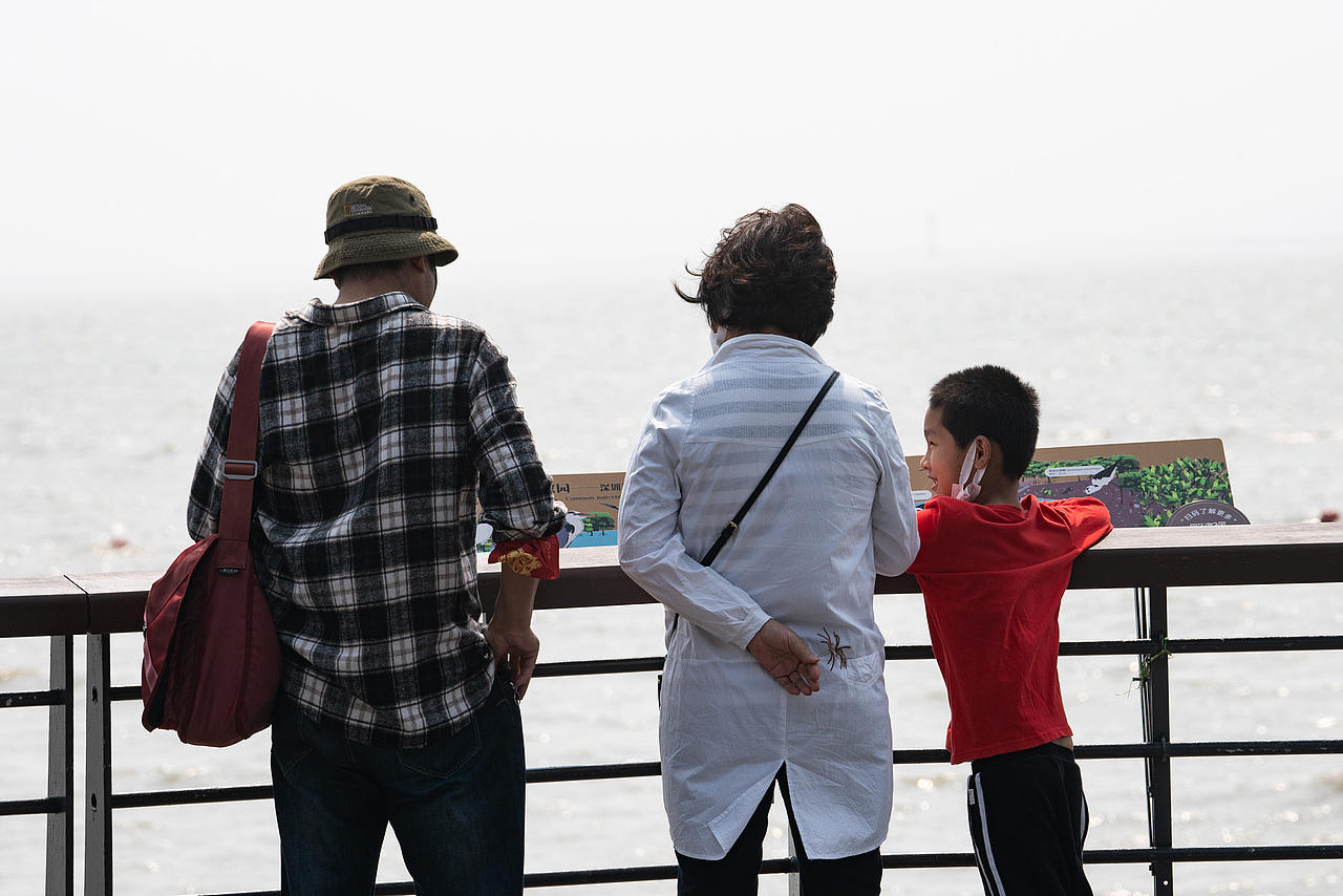 深圳湾公园湿地主题解说牌（图ZMjk1MDM5NjMy） - 图案 - 站酷设计师tofu豆腐原创素材 - 站酷ZCOOL