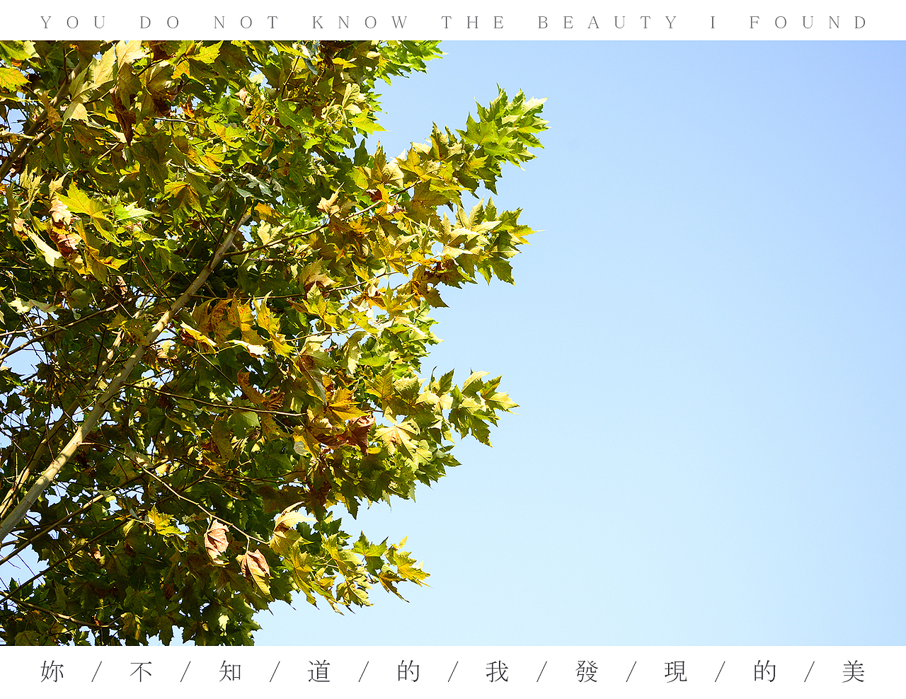 我想分享给你 /