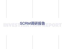 调研报告