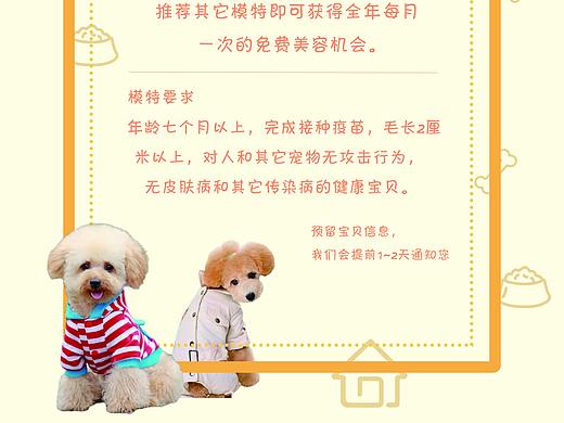 宠物海报
