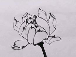 荷花画法——何海新