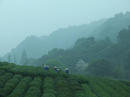写给杭州的十二封情书
