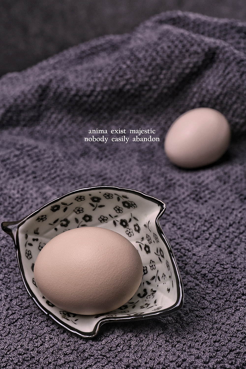 鸡蛋摄影-个人摄影集