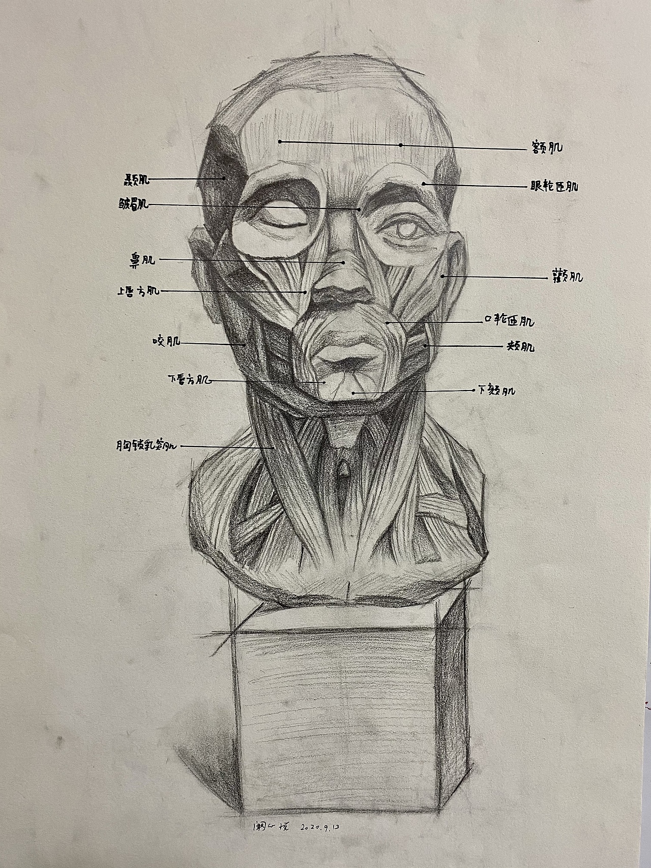 布谷书画素描学生作品辑（图ZMjQzODExMzYw） - 绘画 - 站酷设计师布谷书画馆原创素材 - 站酷ZCOOL