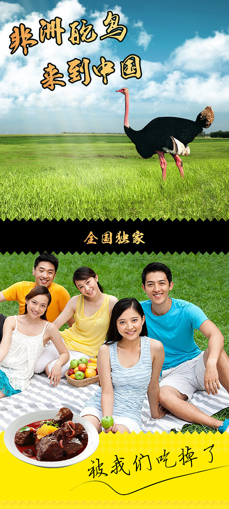 灵感来自牛肉羊肉干的鸵鸟肉——详情页设计（图ZMzI0MjQ1MDQ=） - 电商 - 站酷设计师小小铯原创素材 - 站酷ZCOOL