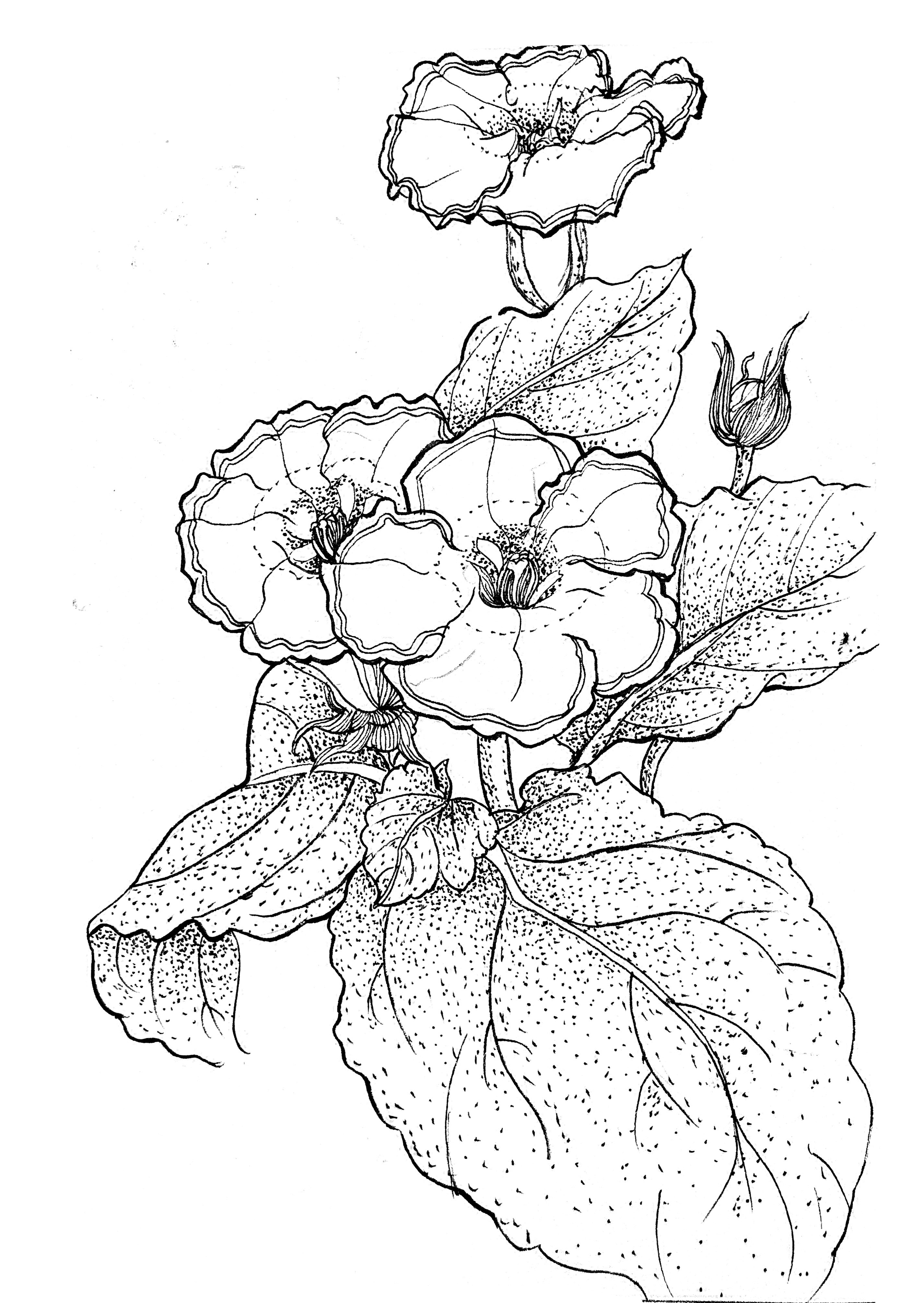 装饰画怎么画简单 017d1d6120794011013eaf7047fed9.jpg@2o.jpg