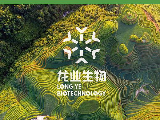 龙业生物LOGO设计
