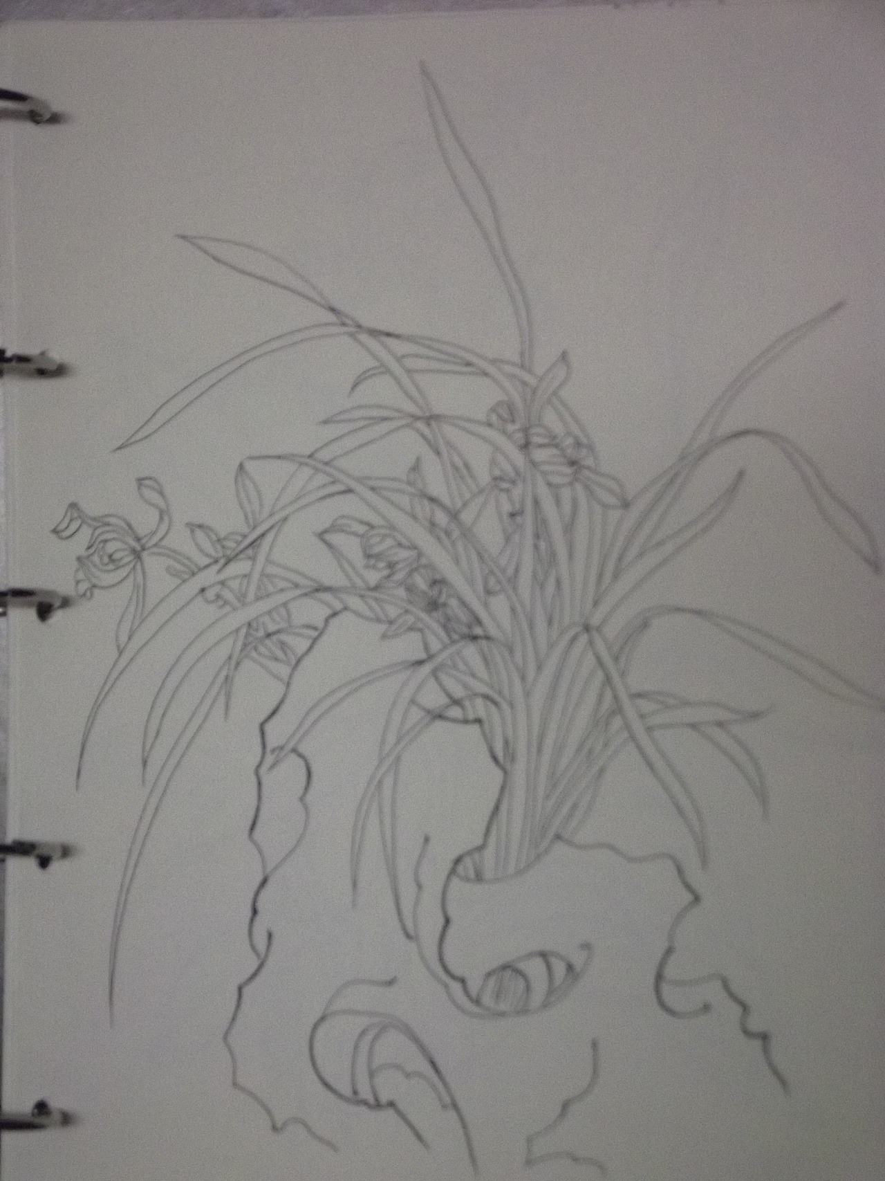 钢笔速写（图ZNTk1NjMyNjg=） - 艺术插画 - 站酷设计师甲甲玲原创素材 - 站酷ZCOOL