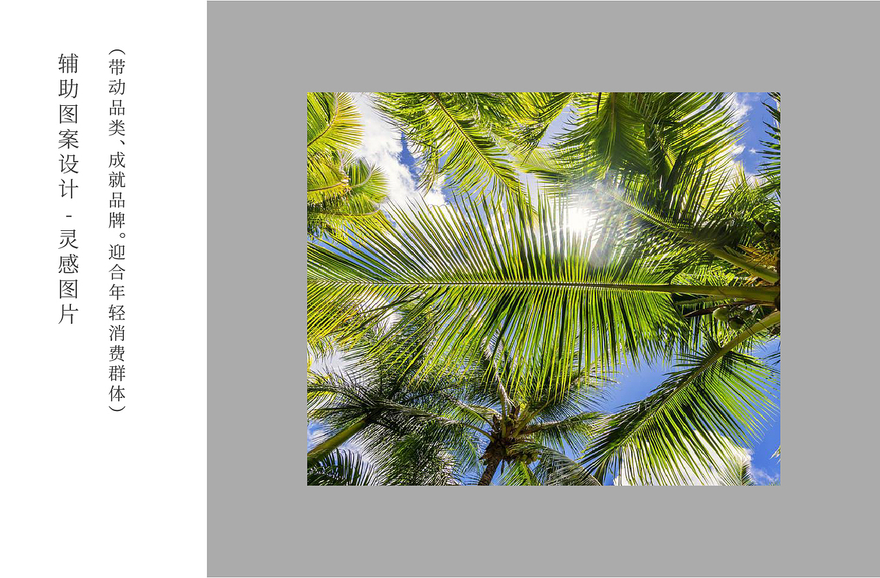 海南椰子鸡火锅品牌设计