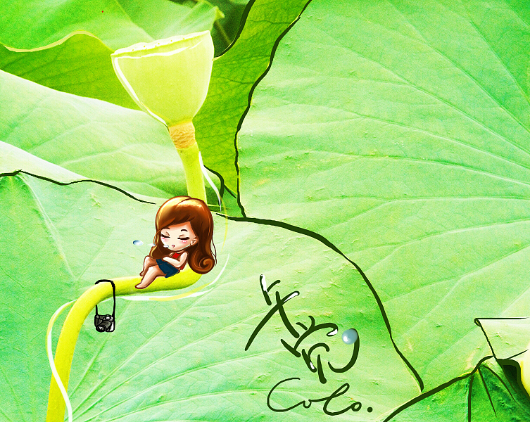 多少绿荷相倚恨，一时回首背西风。