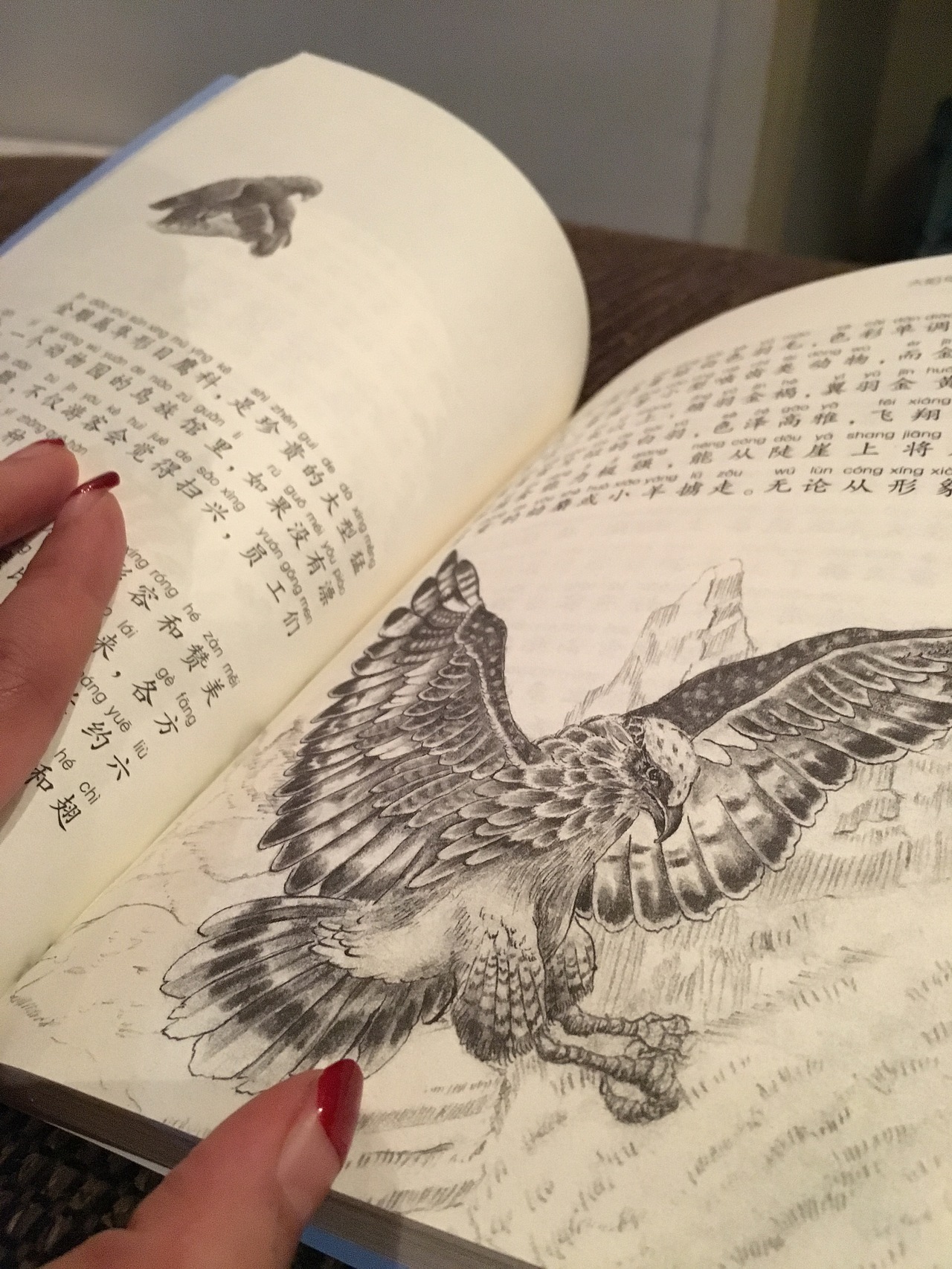 童书内插（图ZMTIwODI5NjE2） - 儿童插画 - 站酷设计师禹德水原创素材 - 站酷ZCOOL