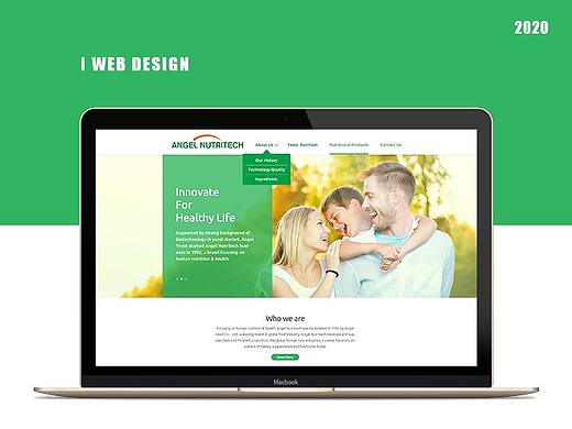 英文官网+企业画册