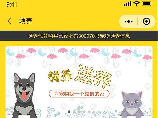 领养平台小程序设计