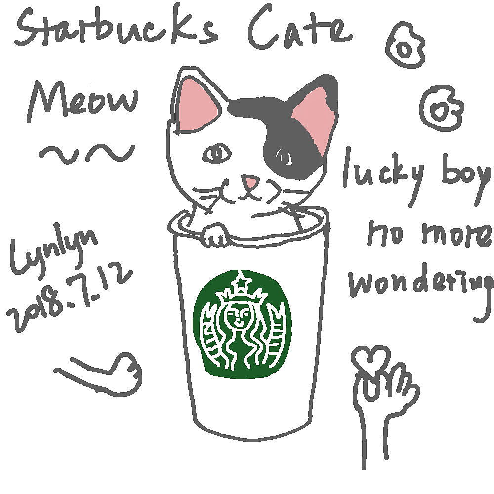 星巴克杯子里的小猫