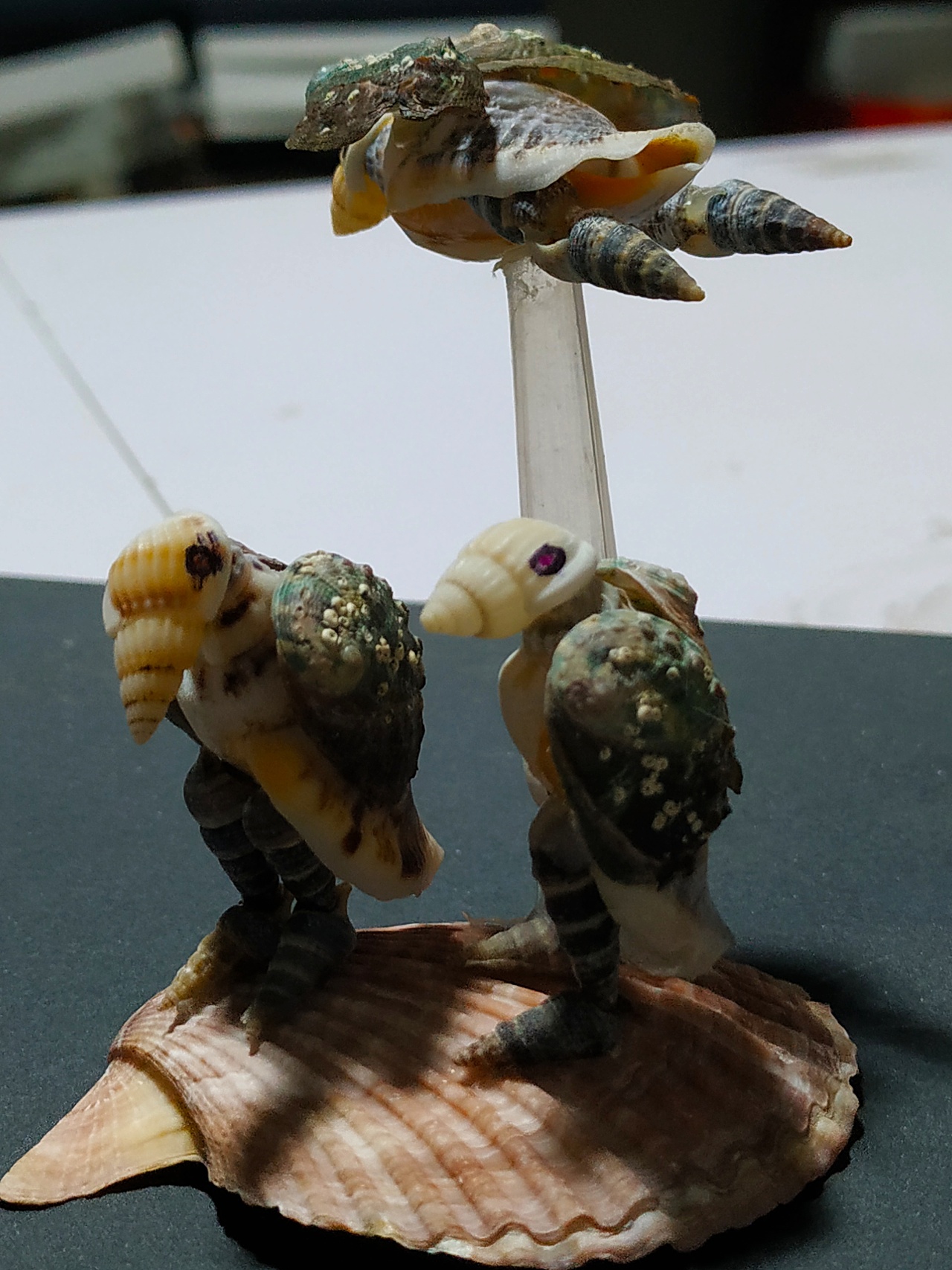 贝壳做的秃鹰|手工艺|手办/模玩|喜欢手工的人 - 原创作品 - 站酷