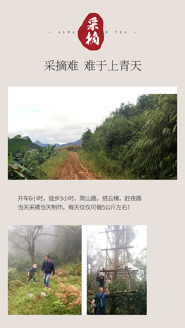 茶叶-小罐茶（图ZMTg4MTc3NzYw） - 电商 - 站酷设计师SIHUI1986原创素材 - 站酷ZCOOL