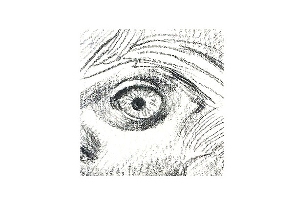 猪肚包鸡怎么做？（图ZOTA1NTAyNTY=） - 商业插画 - 站酷设计师徐理想原创素材 - 站酷ZCOOL