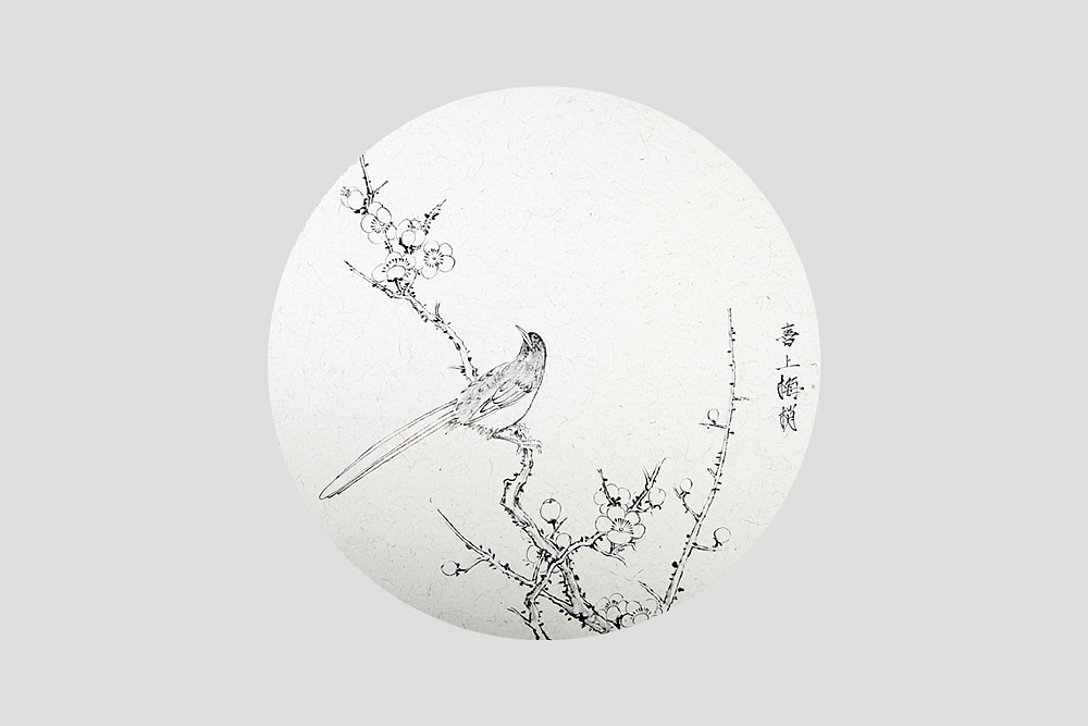 长安老窖•喜上眉梢 白酒包装设计