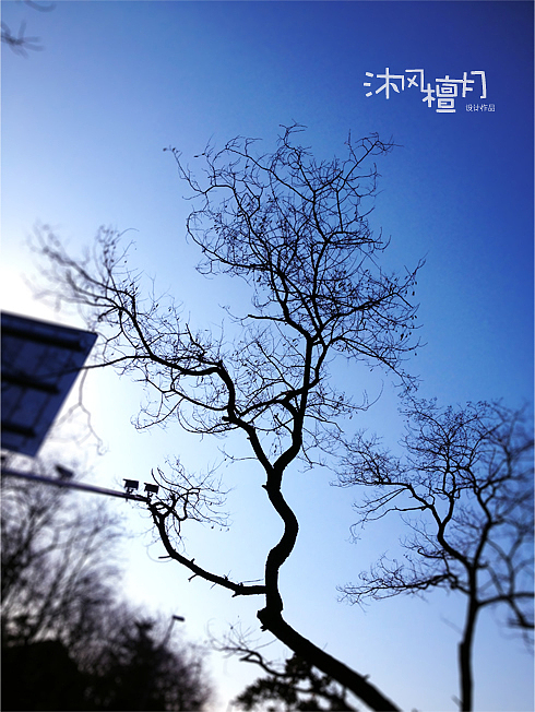 2015青岛八大关冬季手机摄影鉴赏