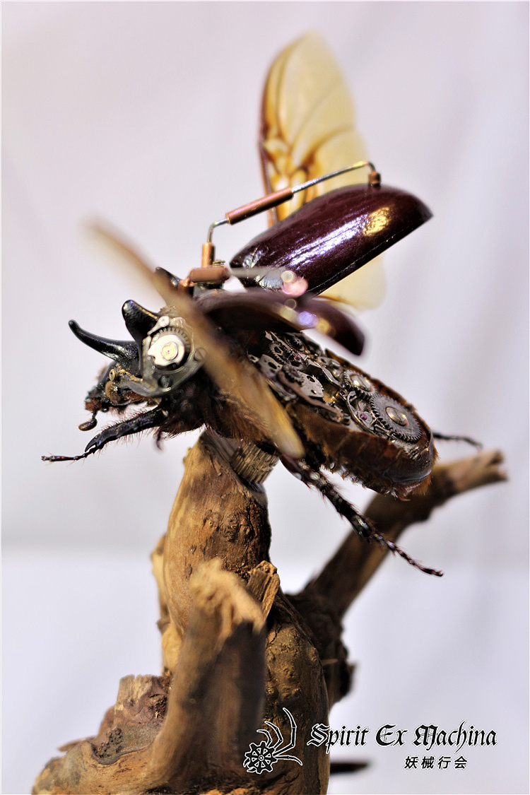 呼啸系列 — 三角龙兜虫 蒸汽昆虫