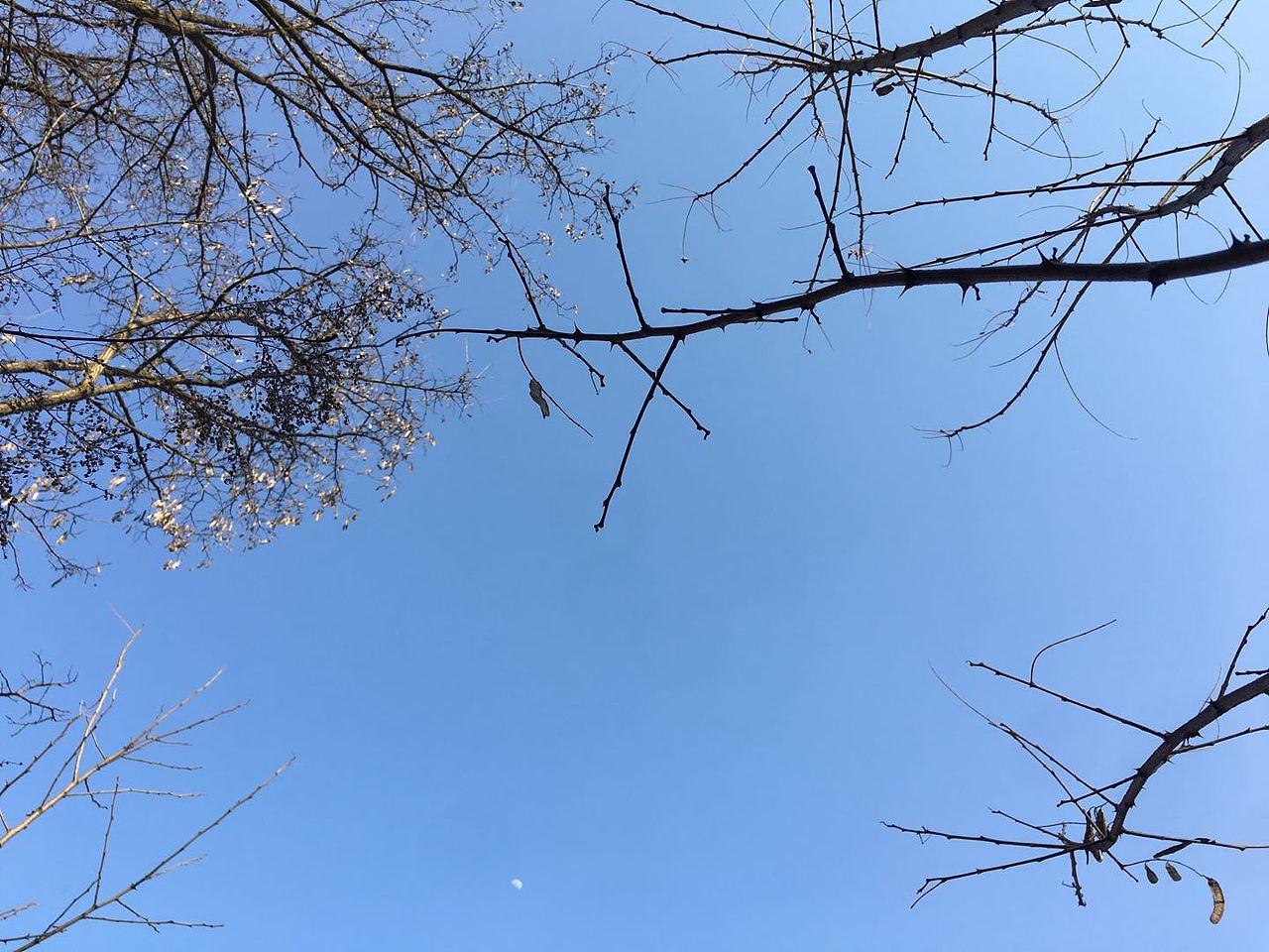 冬日山景 ——撿漏大自然（圖ZMjI1MjI0ODYw） - 人文/紀(jì)實攝影 - 站酷設(shè)計師半斤云原創(chuàng)素材 - 站酷ZCOOL