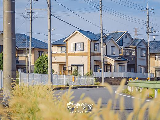盛夏 | Photo | 雾里学家scientis | 8