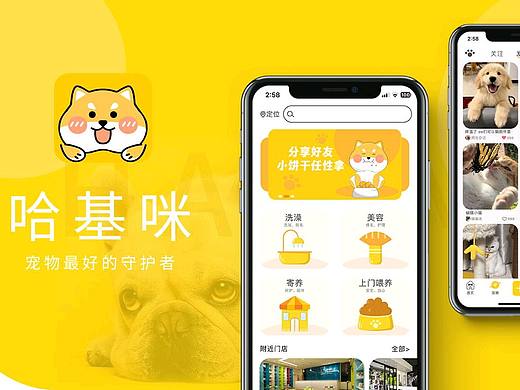 哈基咪--宠物APP设计 | UI设计